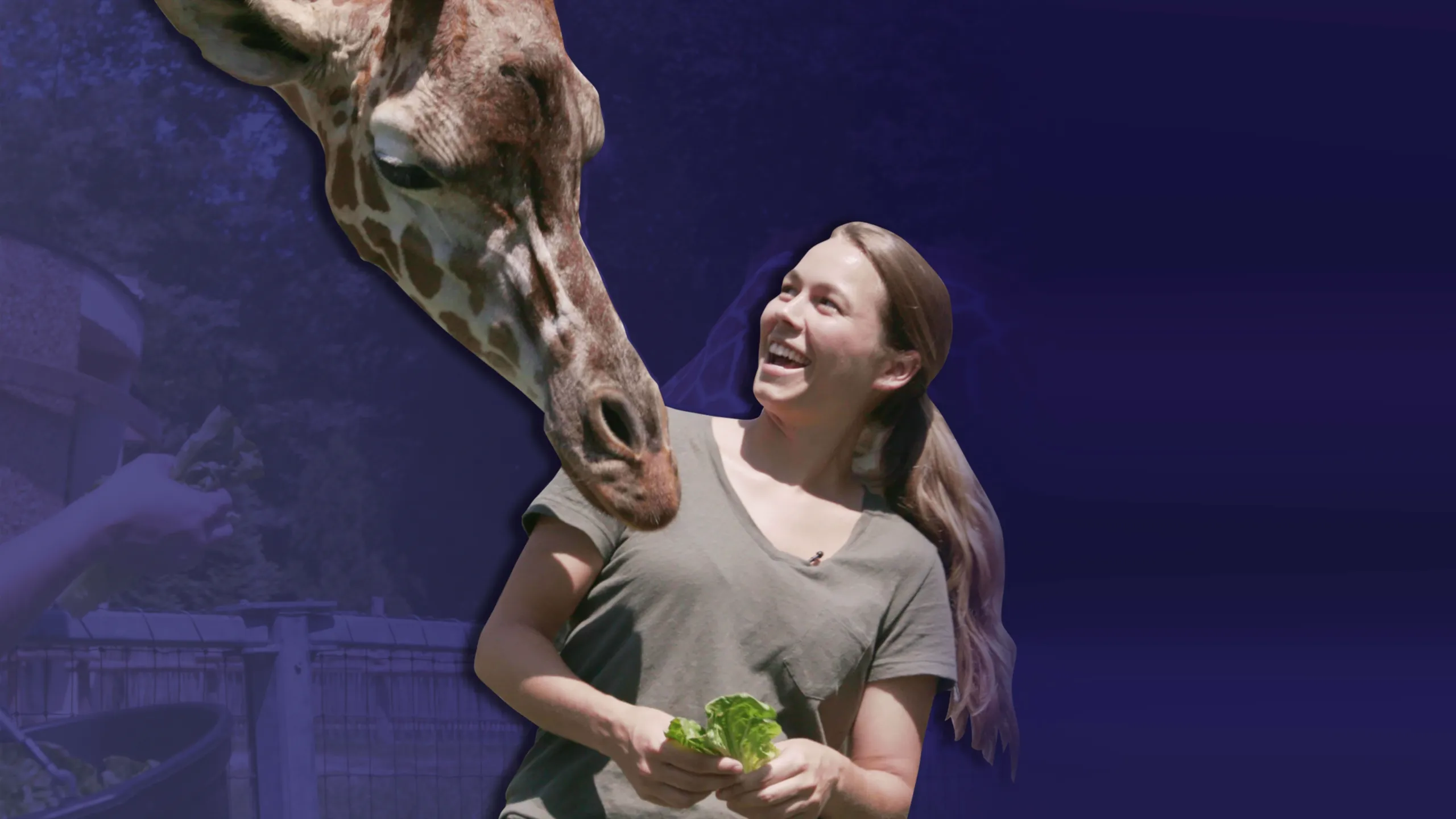 Sam's Zookeeper Challenge