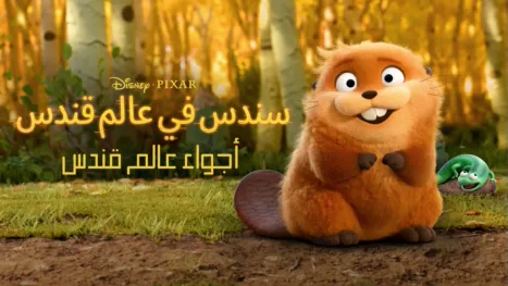 thumbnail - أجواء عالم قندس