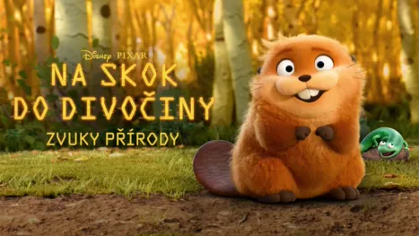 thumbnail - Na skok do divočiny: Zvuky přírody