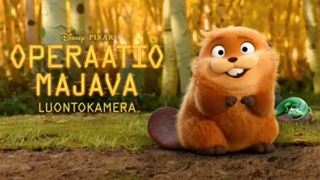 thumbnail - Operaatio Majava: Luontokamera