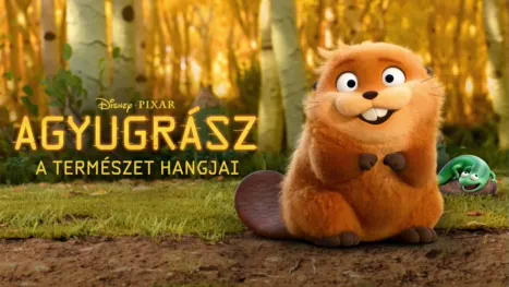 thumbnail - Agyugrász: A természet hangjai