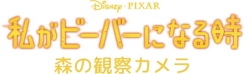 私がビーバーになる時：森の観察カメラ