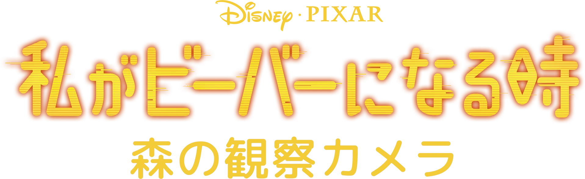 私がビーバーになる時：森の観察カメラ