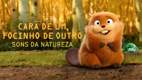 thumbnail - Cara de Um, Focinho de Outro: Sons da Natureza