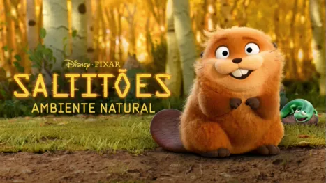 thumbnail - Saltitões Ambiente Natural