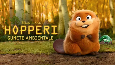 thumbnail - Hopperi Sunete Ambientale