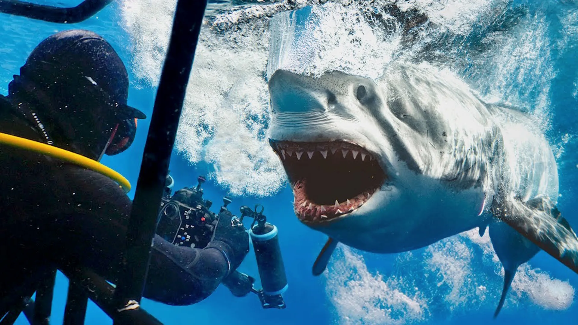 thumbnail - S1:E5 Entering the Kill Zone with Great White Sharks!
