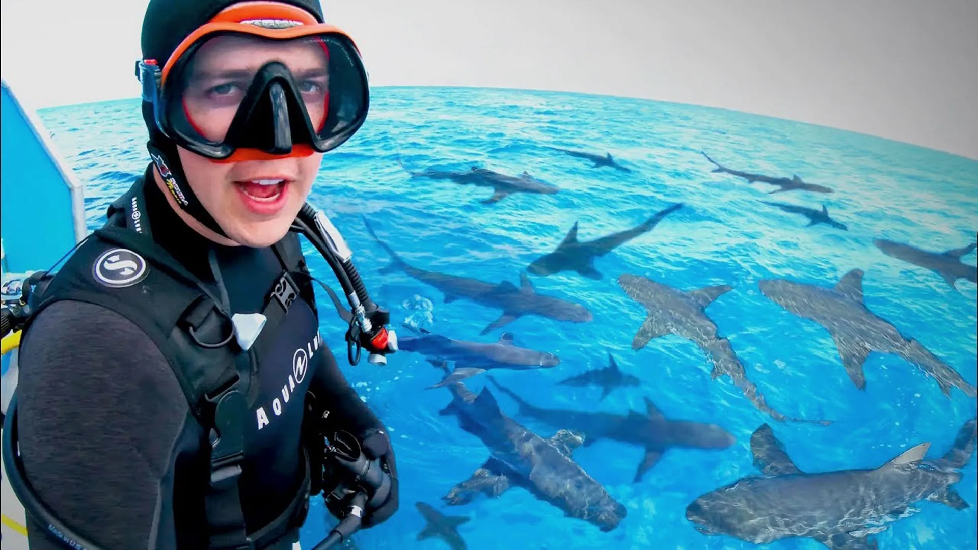 thumbnail - S1:E8 Diving into a Shark Frenzy!