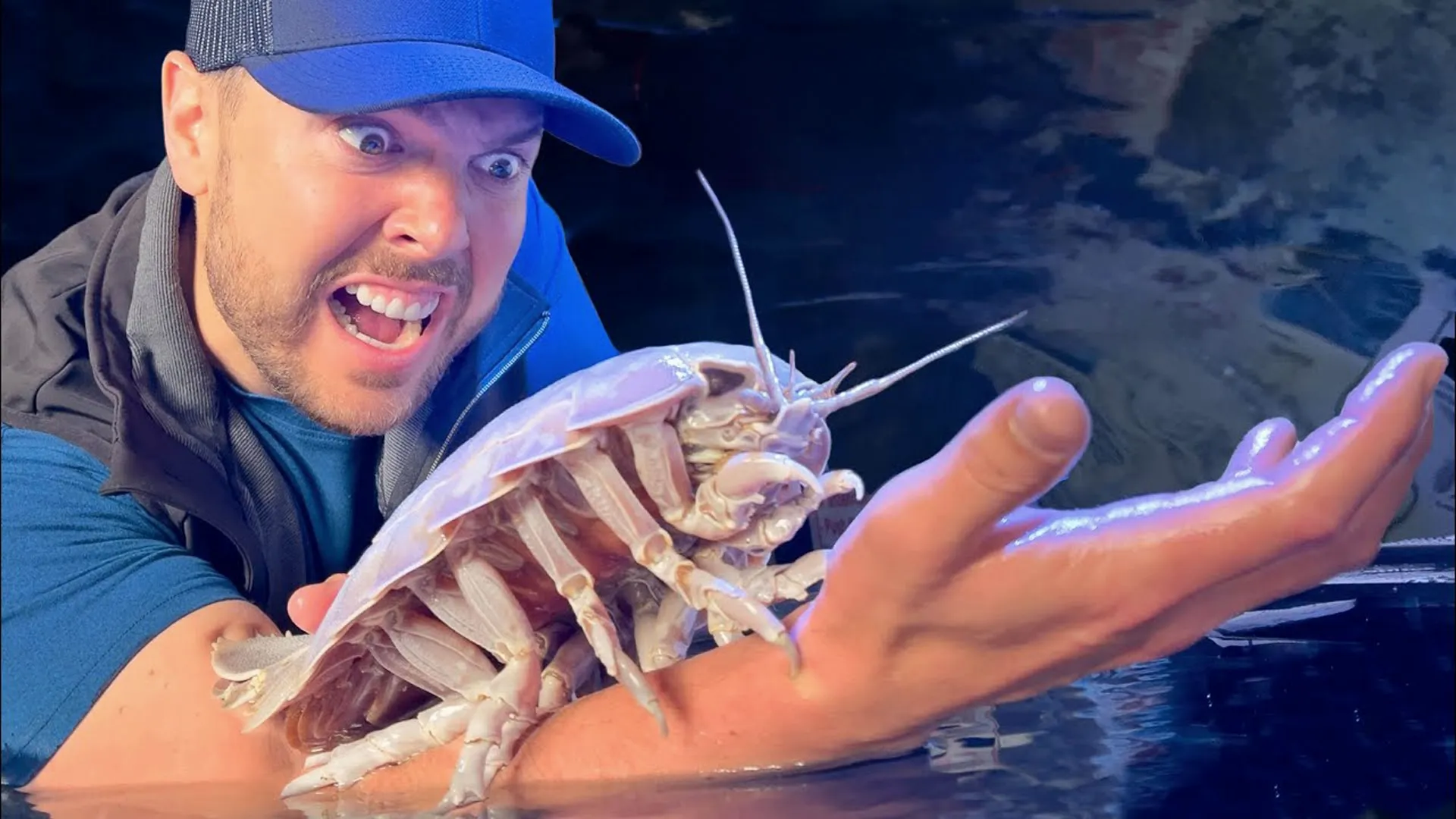 thumbnail - S1:E12 Bitten by a Deep Sea Creature!