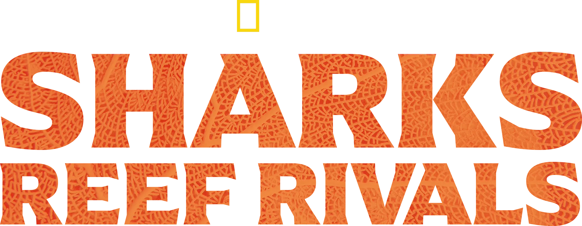 Sharks: Reef Rivals