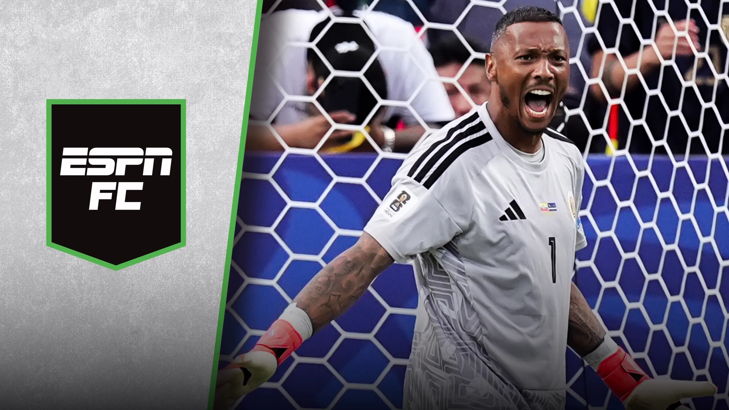 thumbnail - ESPN FC: World Cup Special