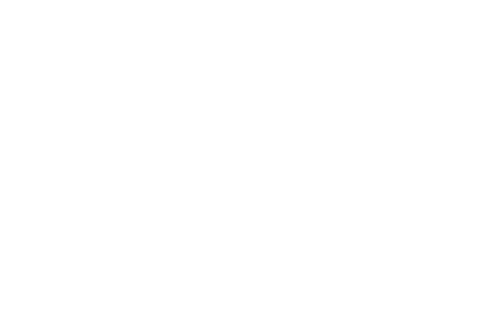 Izvrnuto obrnuto