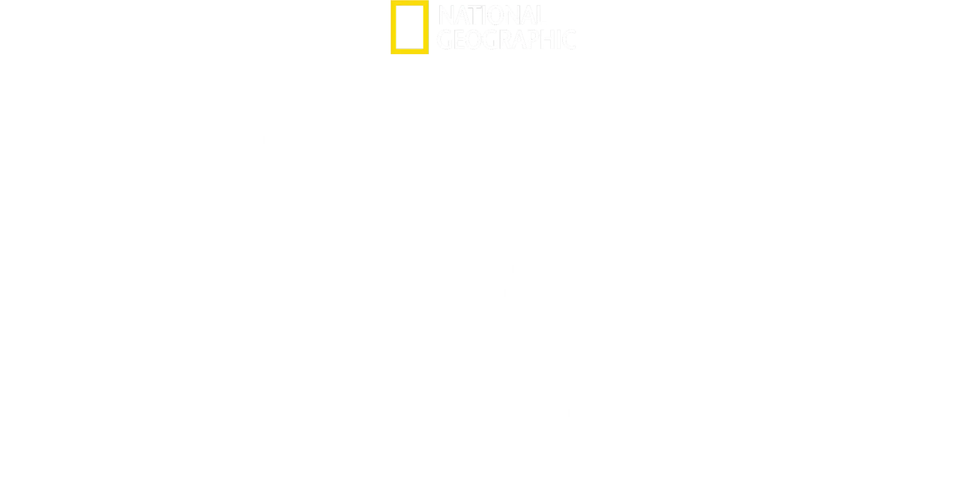 Mord am Himmel: Wer hat Flug MH17 abgeschossen?
