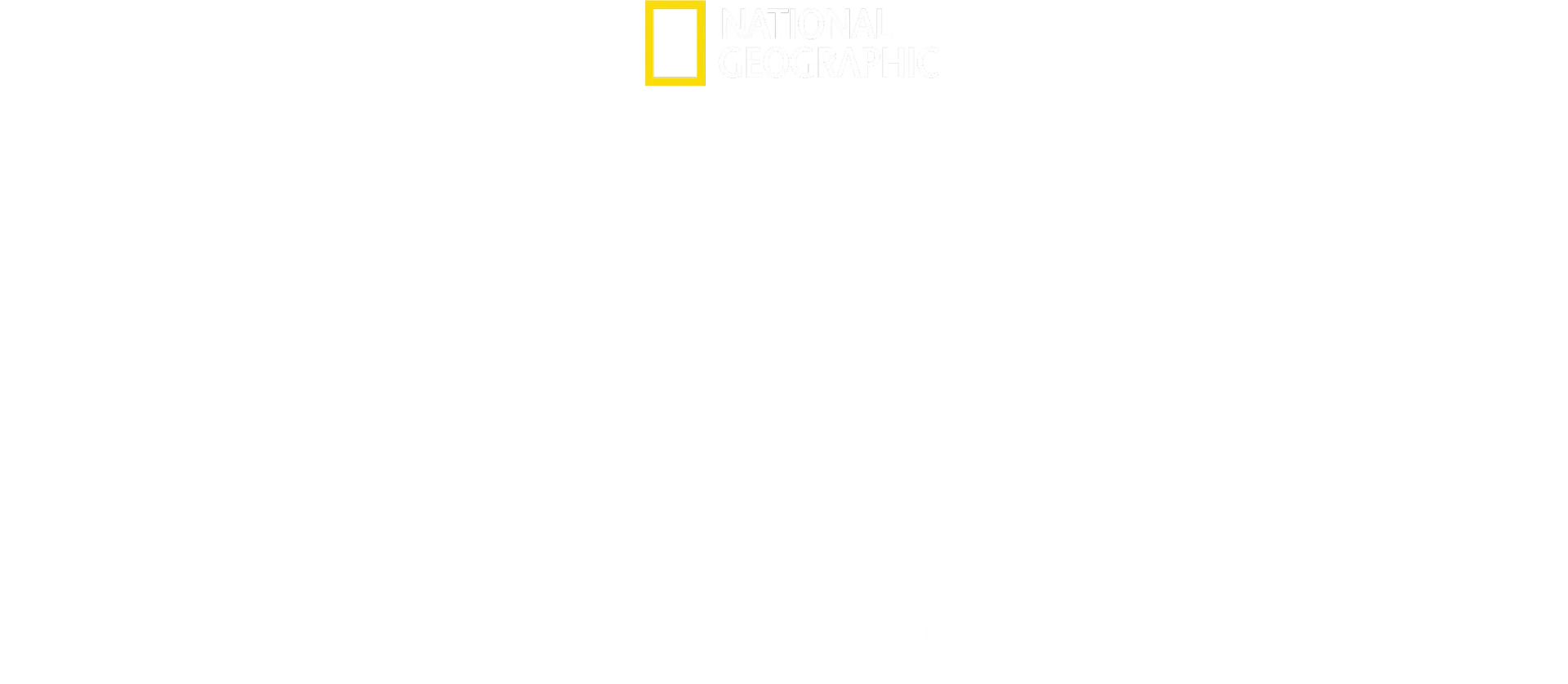 Omicidio ad alta quota: il volo MH17