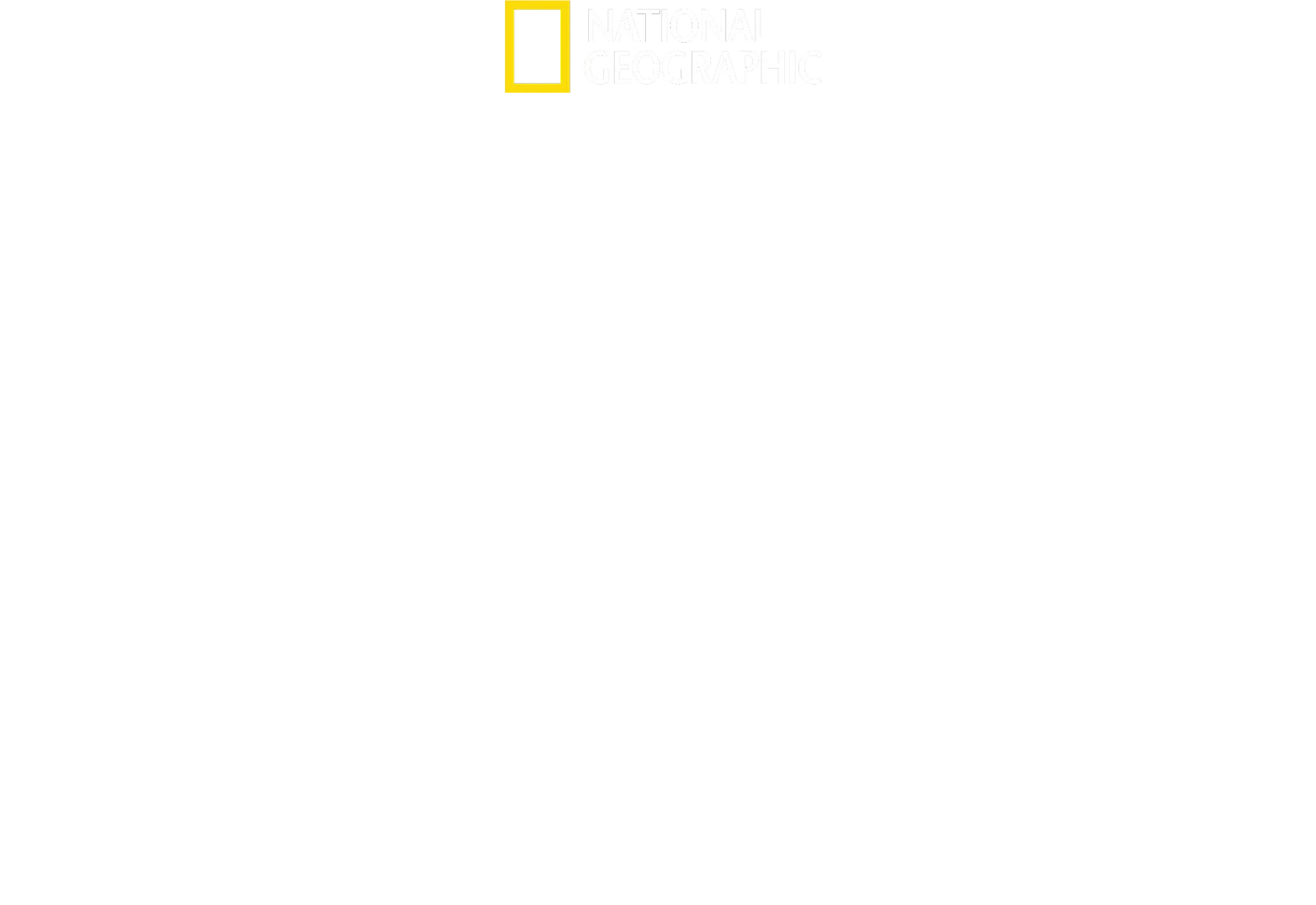 Who Downed MH17?