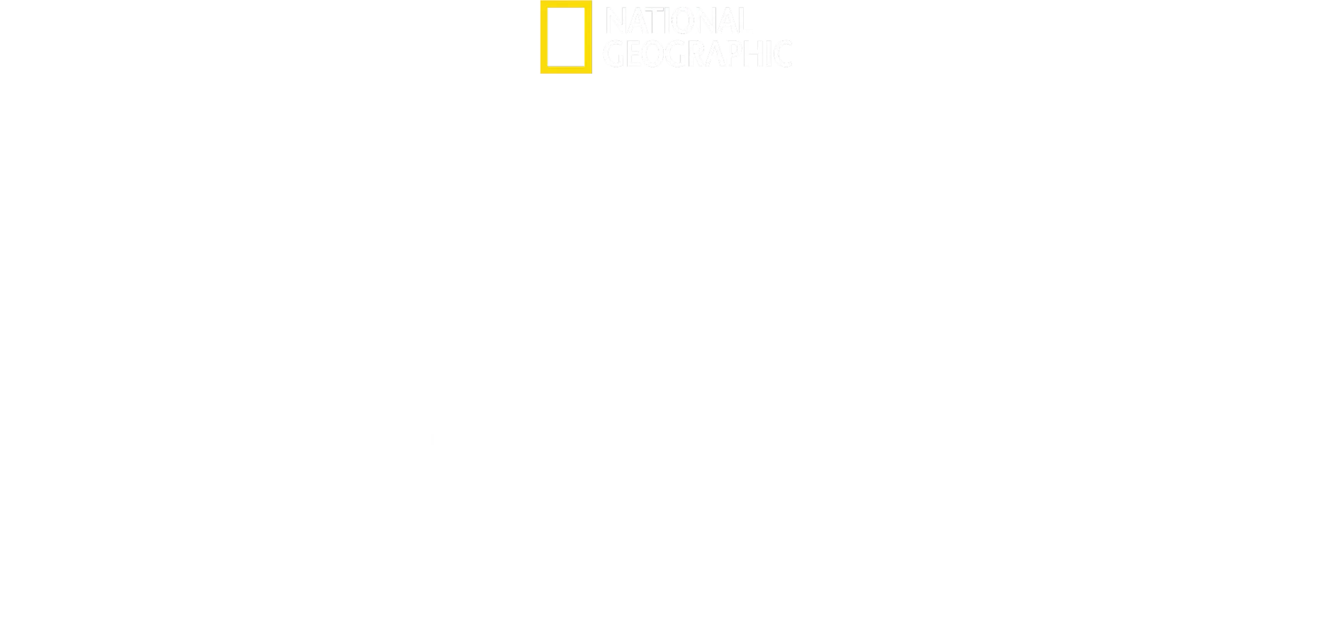 Homicídio nos Céus: Quem abateu o MH17