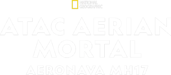 Atac aerian mortal: Aeronava MH17