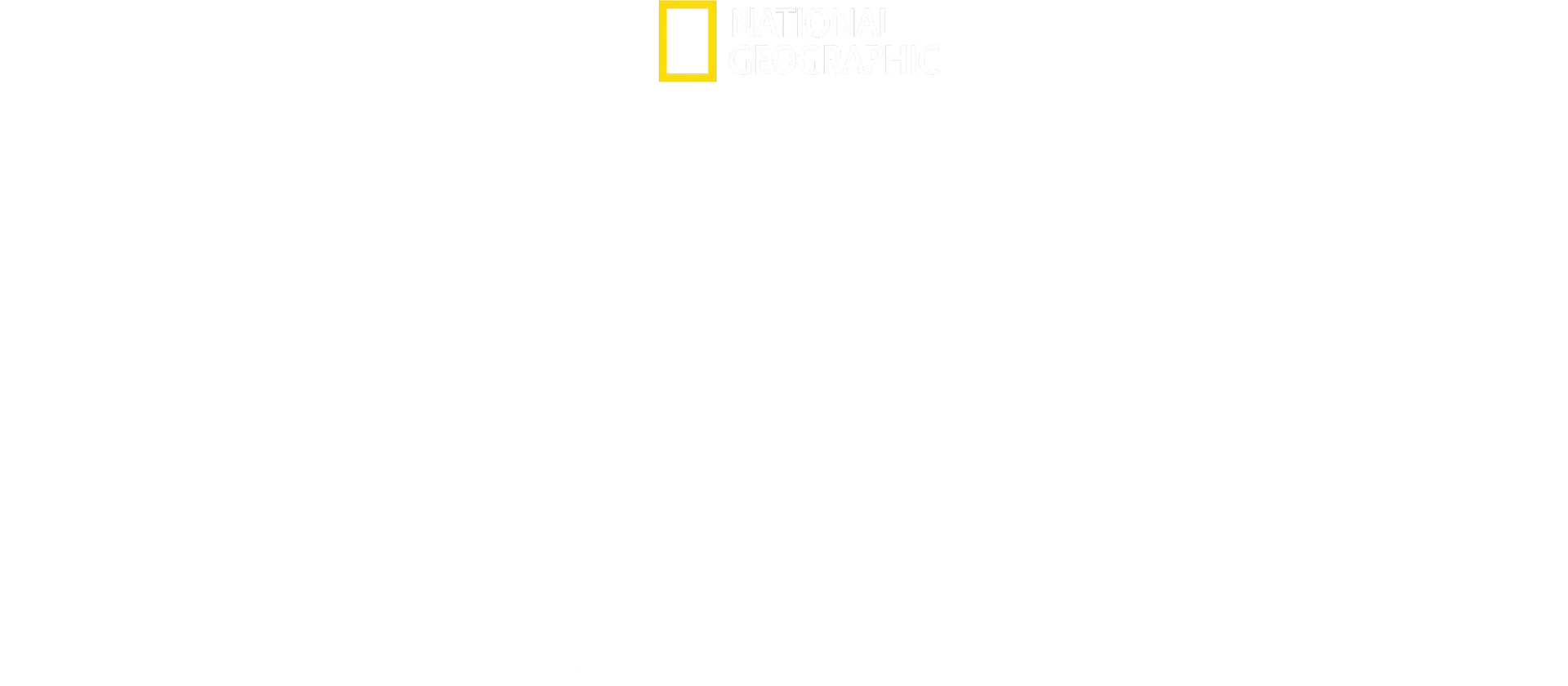Atac aerian mortal: Aeronava MH17