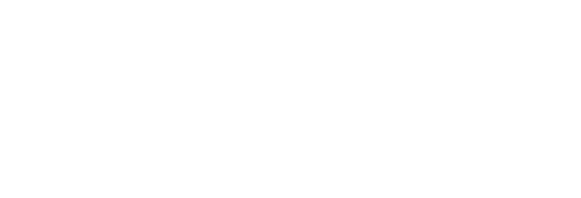 フューリアス：奪う女と追う女