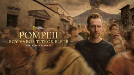 thumbnail - Pompeii: Egy város titkos élete Tom Hiddlestonnel