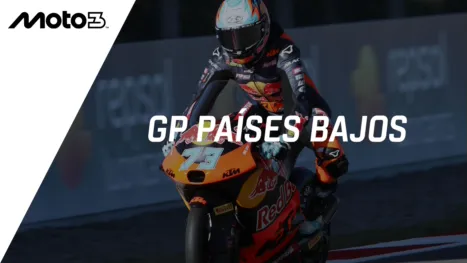GP Países Bajos - Qualifying (Moto3)