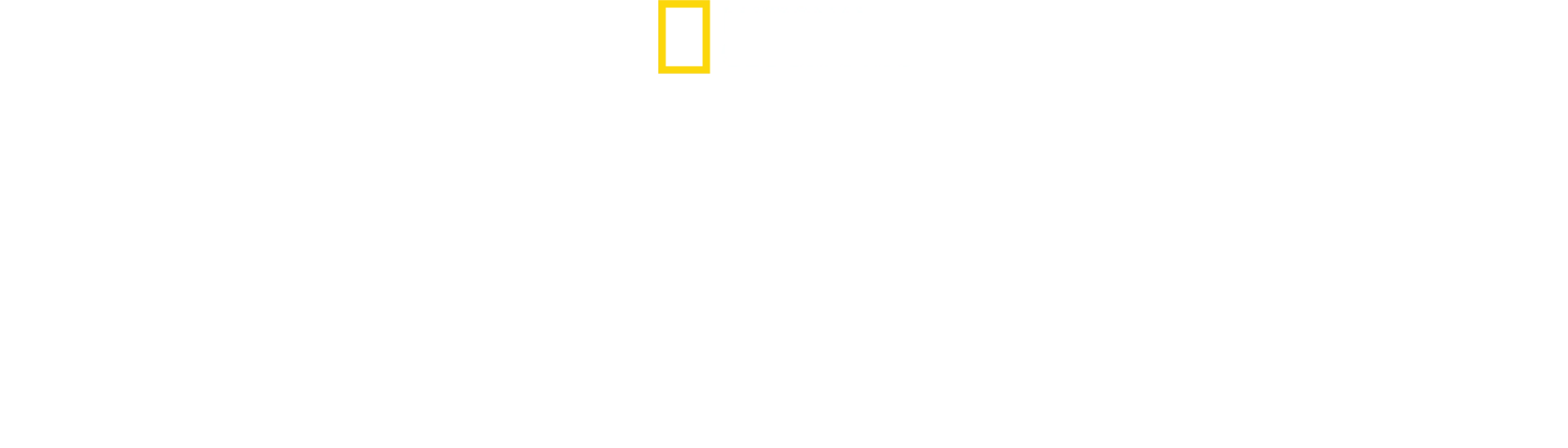 בניית הנאציזם: המלחמה של אמריקה