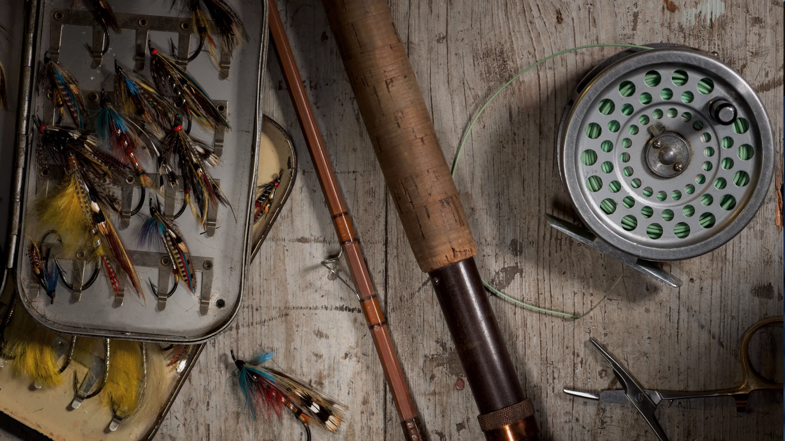 Seasons on the Fly