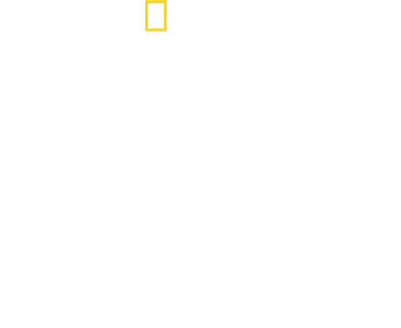 Bertie Gregory: U svijetu dupina