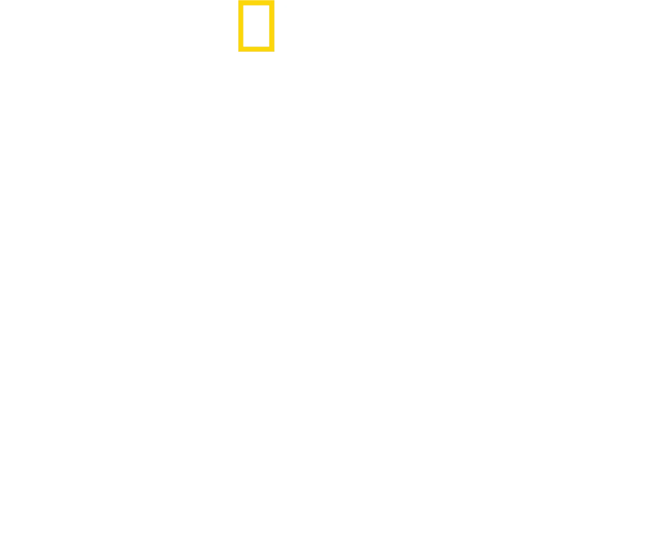 Bertie Gregory: U svijetu dupina