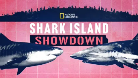 thumbnail - Shark Island Showdown