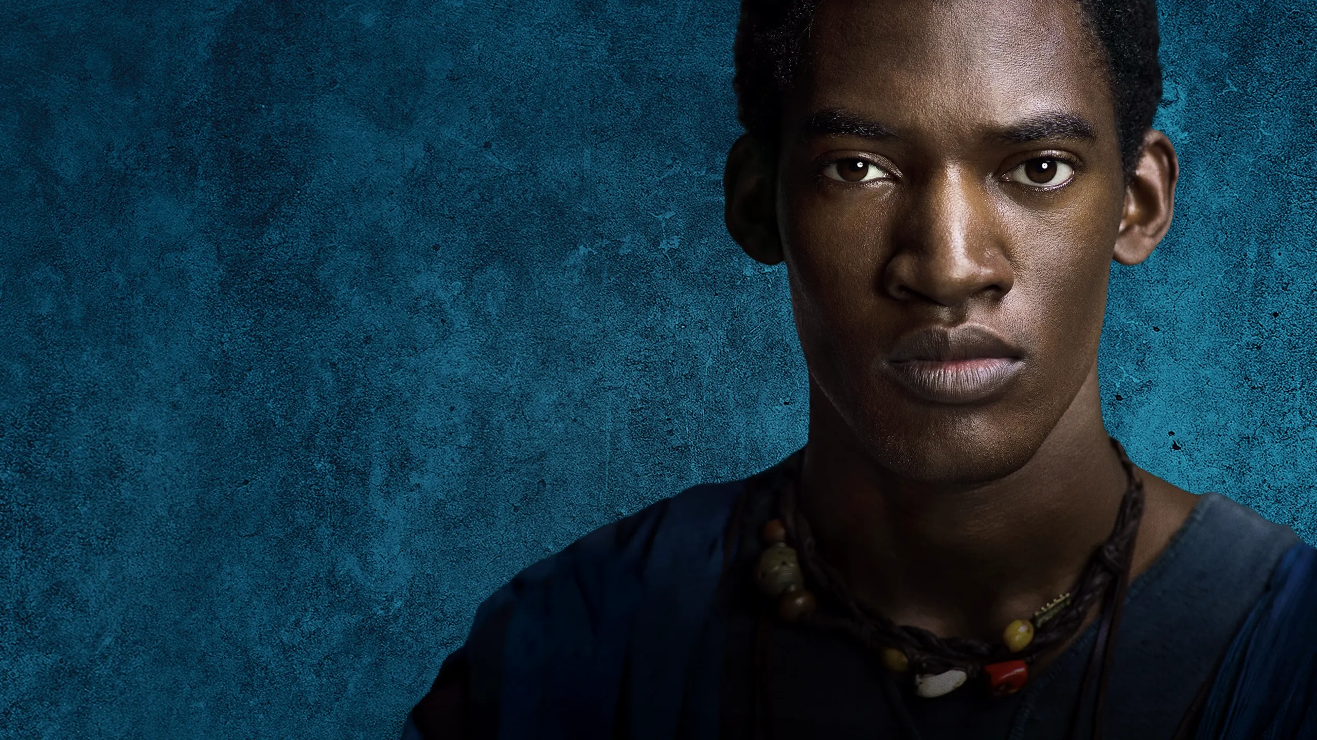 Roots: A History Revealed