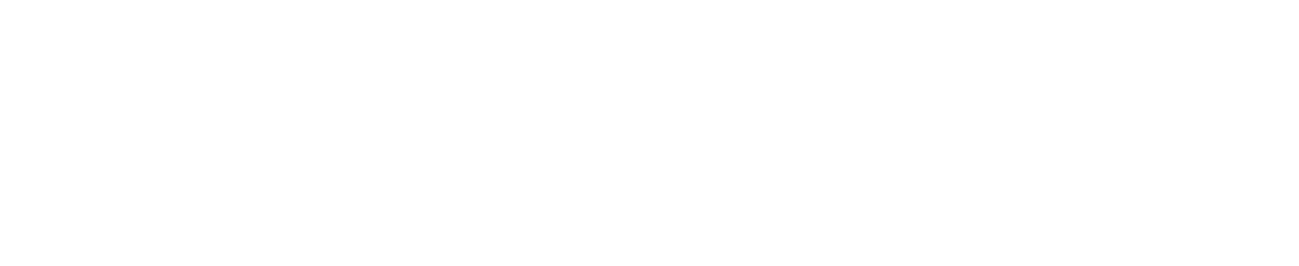 Guerrieri - La regola dell'equilibrio