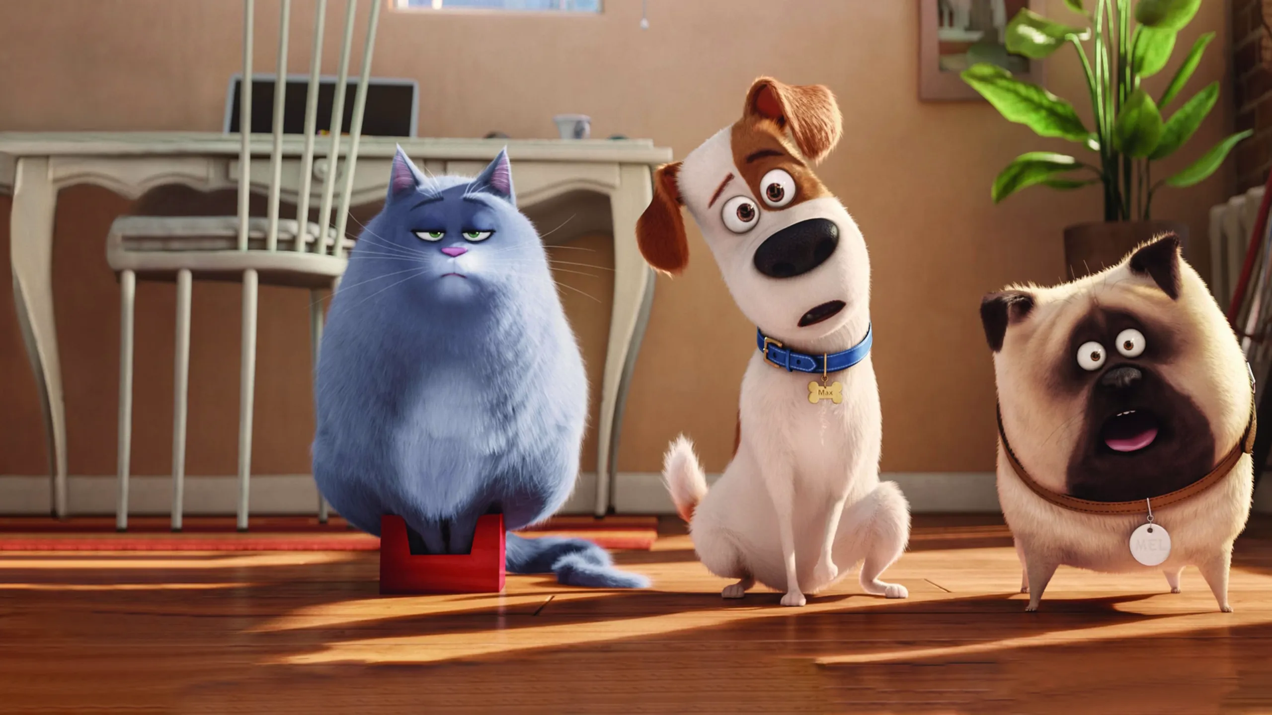 The Secret Life of Pets