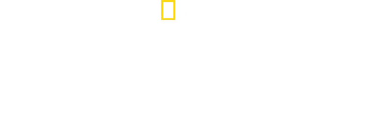 Μονομάχοι: Πολεμιστές του Αρχαίου Κόσμου