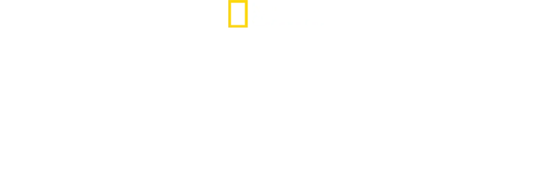 Gladiateurs : Survivre dans l’Arène
