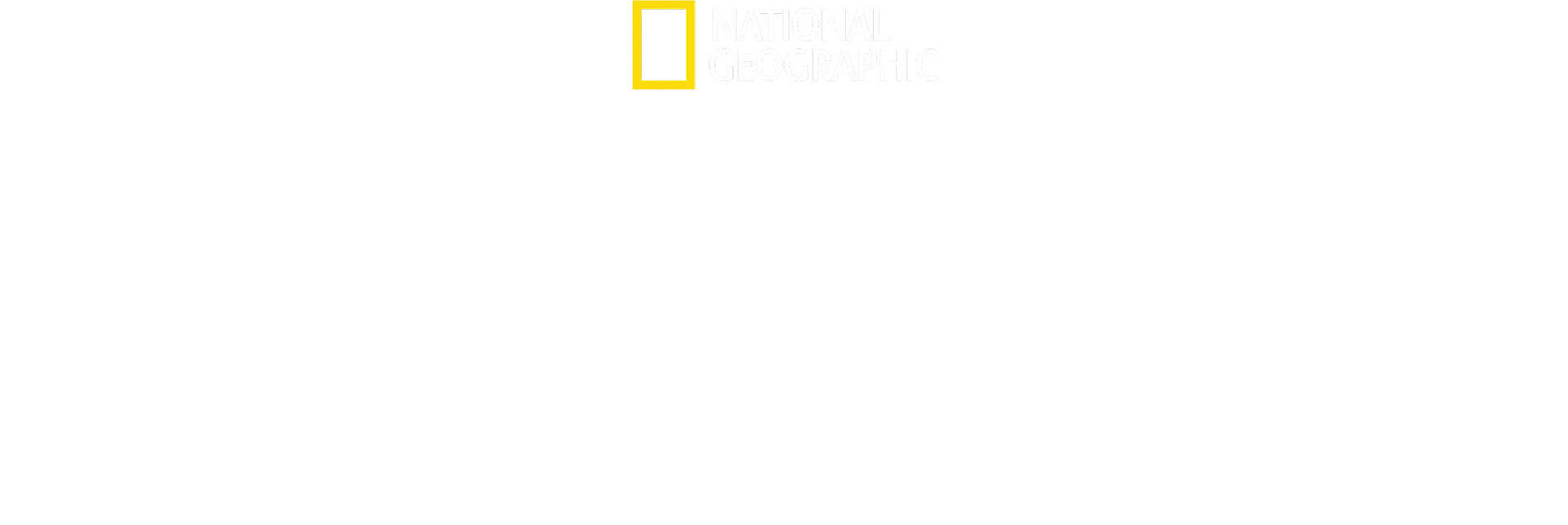 Amsterdam Central: Egy legendás pályaudvar mindennapjai
