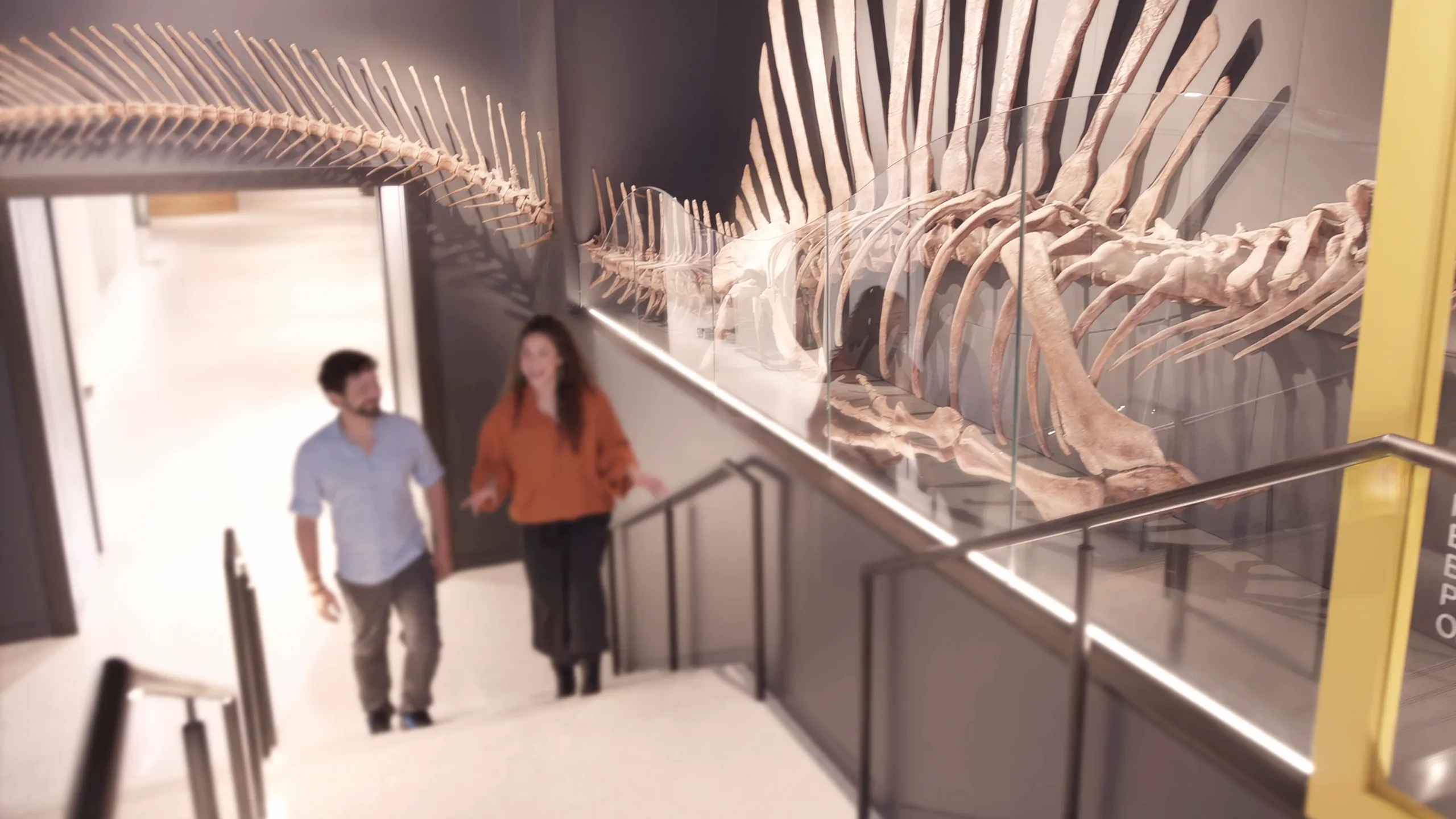 Disney+ Insider: National Geographic Museum of Exploration