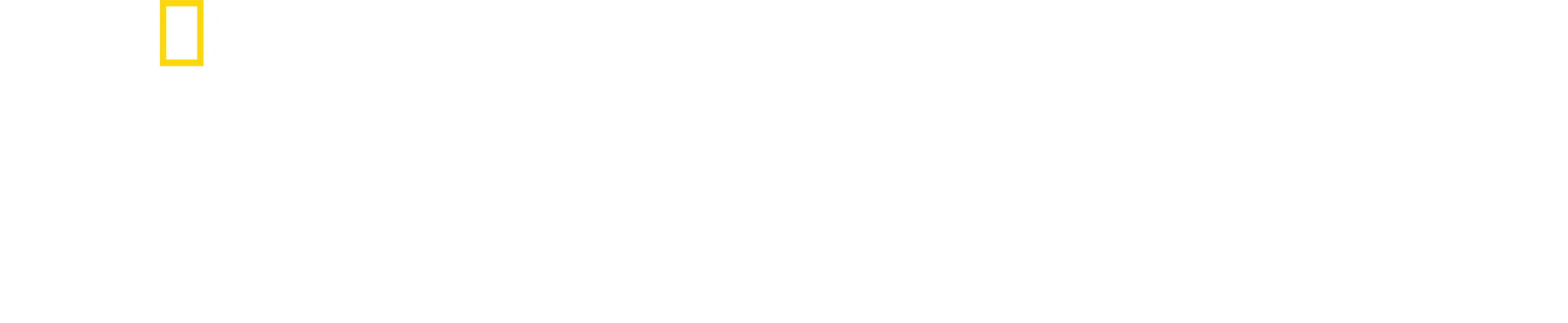 מסע האנושות