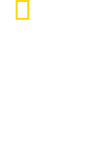 כוכב אחד לבד