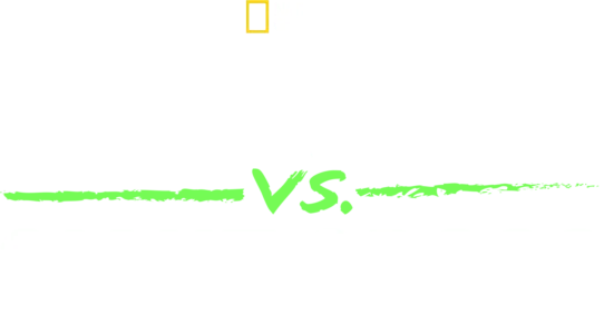 Shark vs. Giant Croc