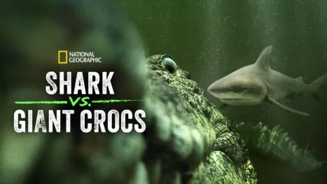 thumbnail - Shark vs. Giant Croc