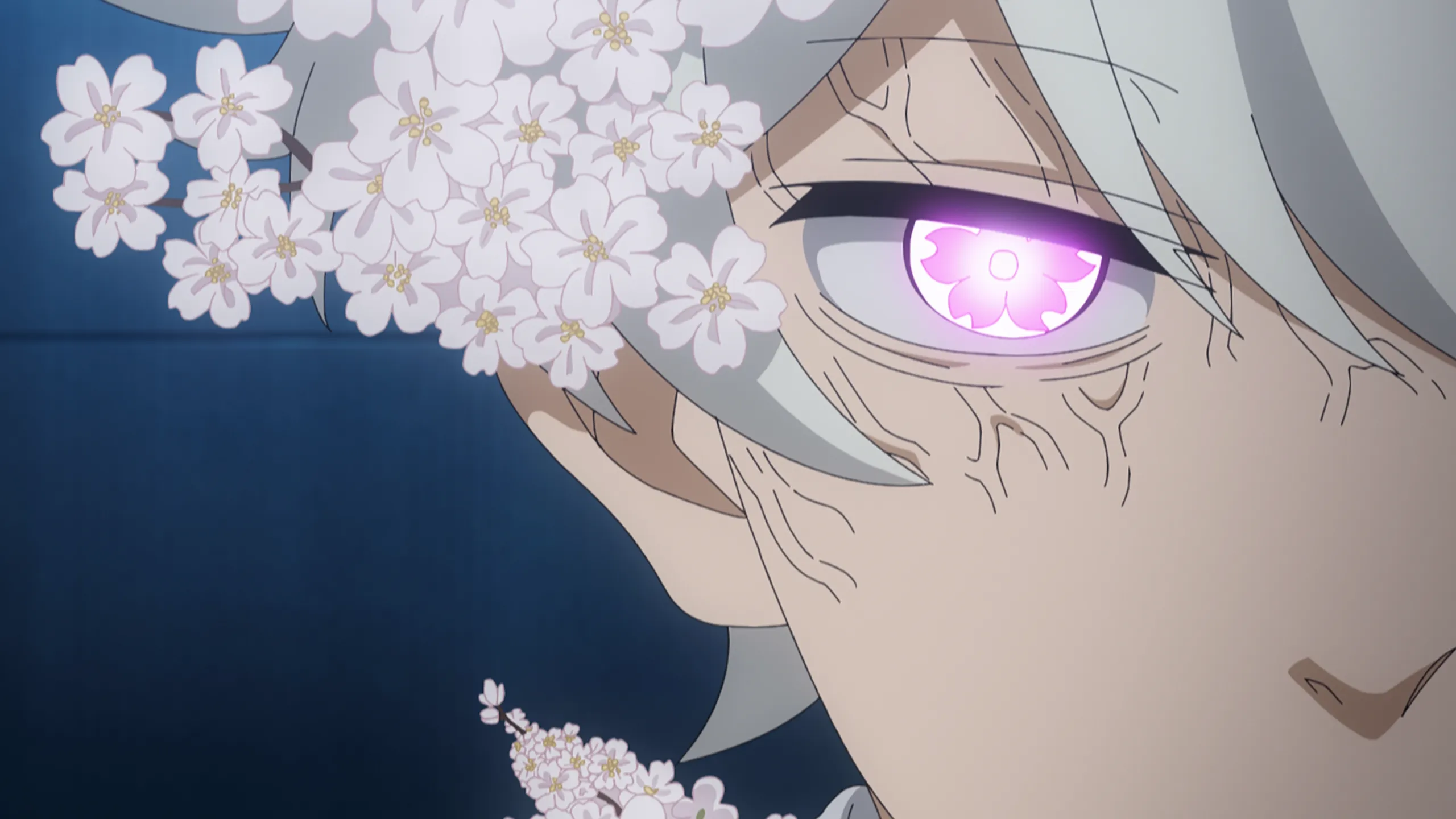 thumbnail - S2:E6 (Dub) New Cherry Blossoms