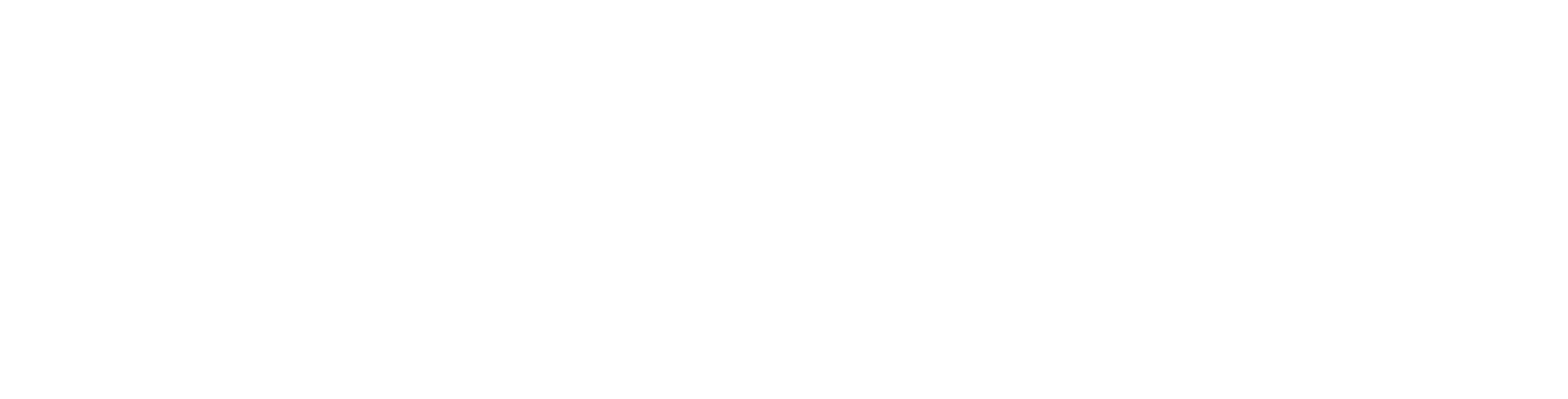 THE GHOST IN THE SHELL