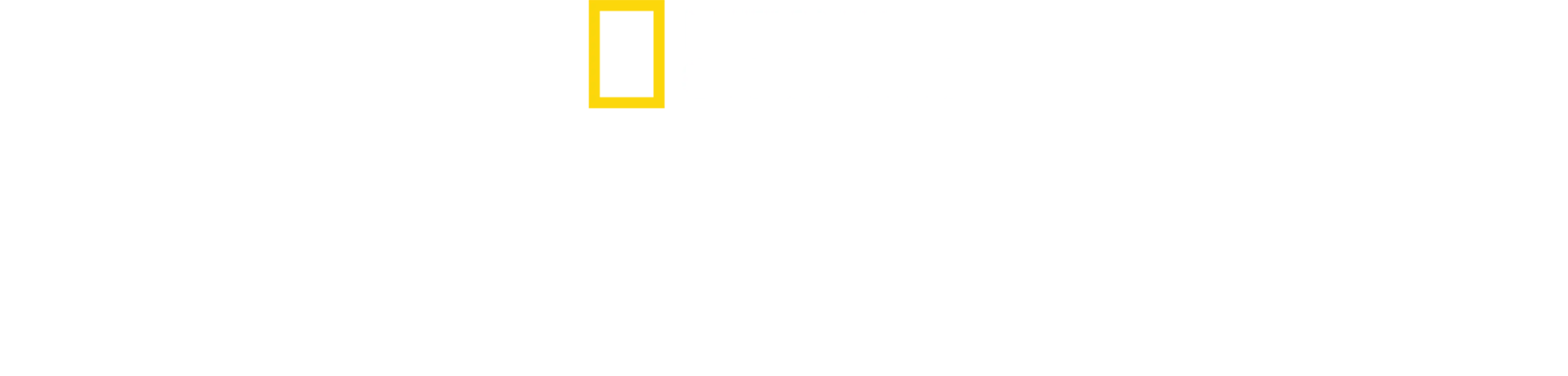 אחוזת הנובחניות