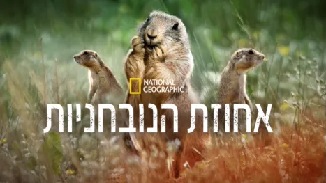 thumbnail - אחוזת הנובחניות