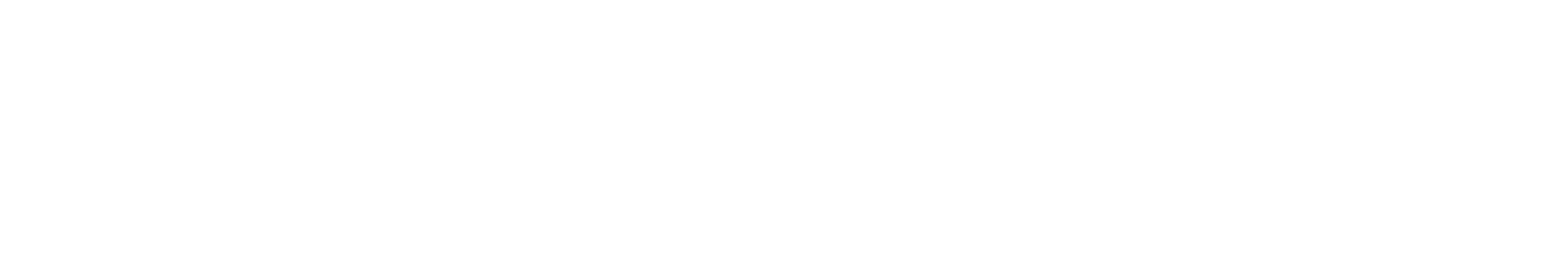 Balonist