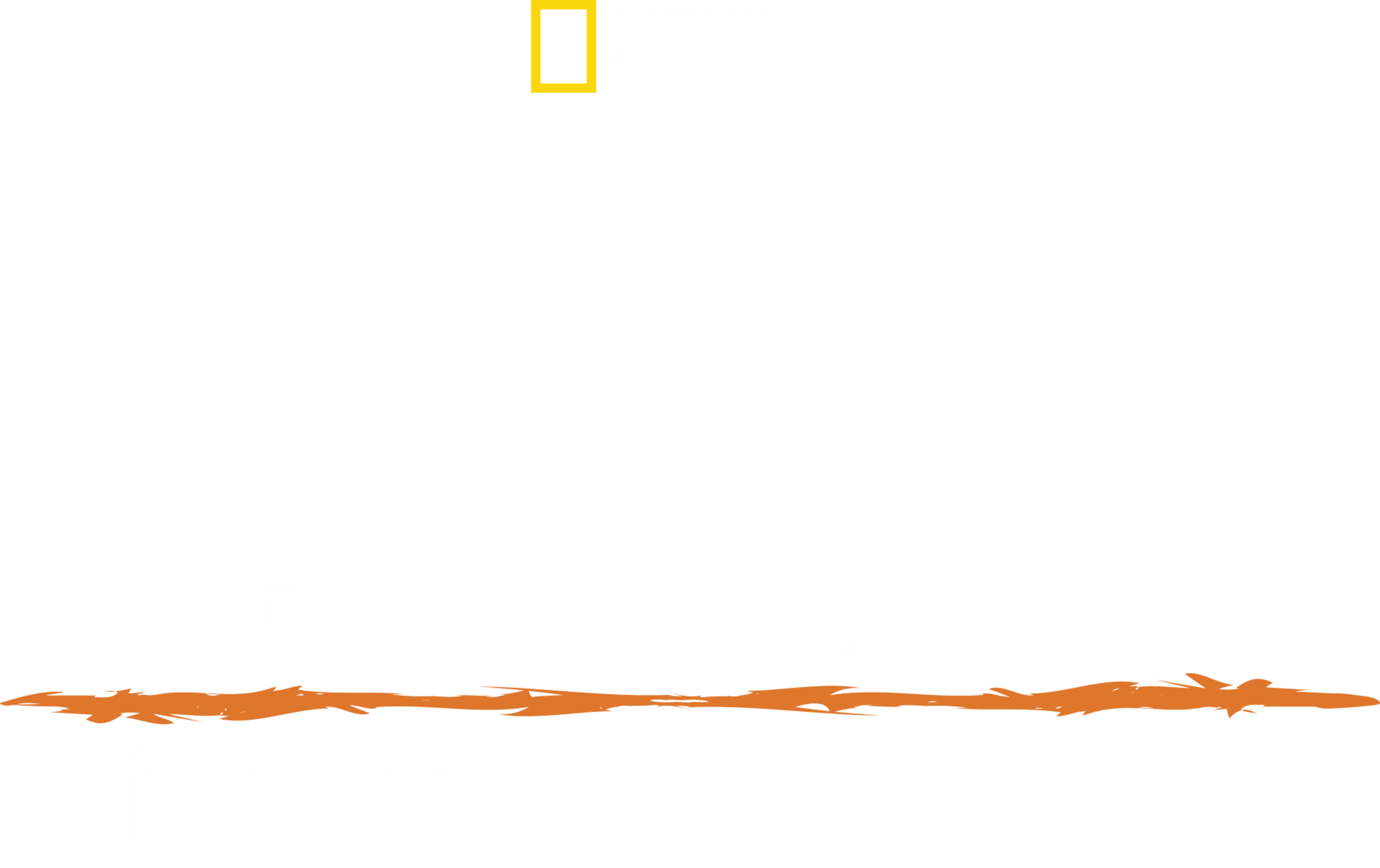 أساليب البقاء: فوق جبال الأنديز