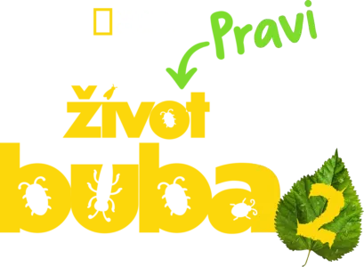 Pravi život buba