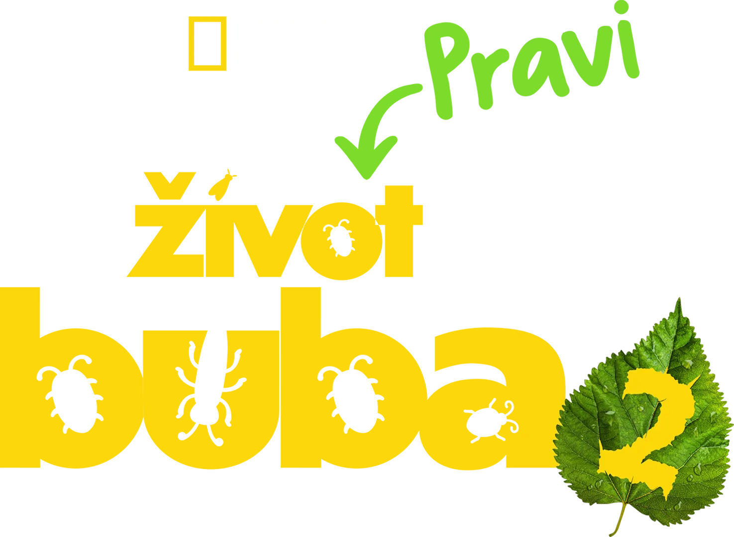 Pravi život buba