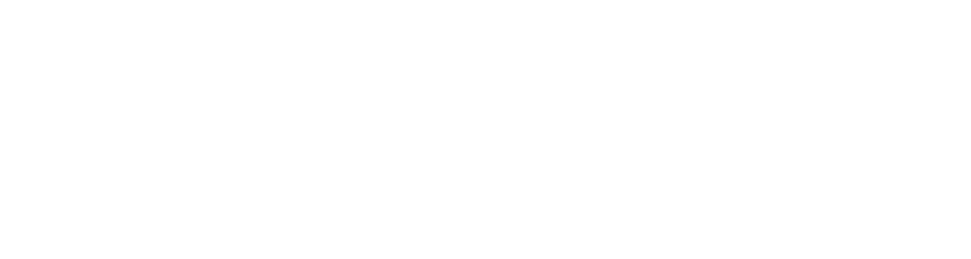 הטירון: סוכנת חדשה